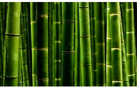 What are the benefits of bamboo?