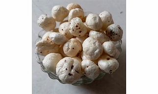 Foxnut