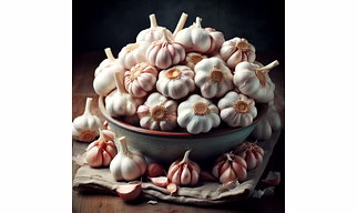 Garlic