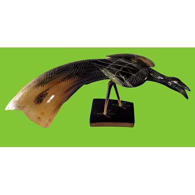 Peacock-SMJJDK_759016_DK1120_PCK_1