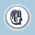 Golden Dyechem-logo
