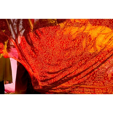 Sarees-APO007