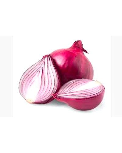 ONION-TE102
