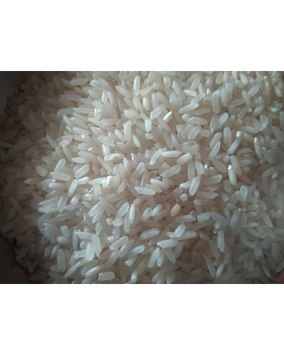 NON BASAMATI RICE IR 64-6419956