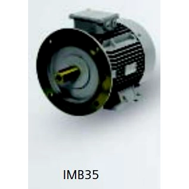 SIEMENS Motors - Champion Series (Frame size - 63-132M)-SMCS