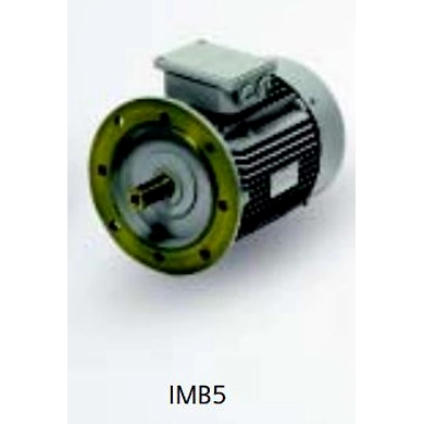 SIEMENS Motors - Champion Series (Frame size - 63-132M)-1