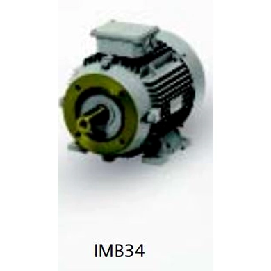 SIEMENS Motors - Champion Series (Frame size - 63-132M)-2