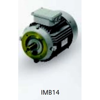 SIEMENS Motors - Champion Series (Frame size - 63-132M)-3