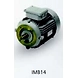 SIEMENS Motors - Champion Series (Frame size - 63-132M)-3-sm
