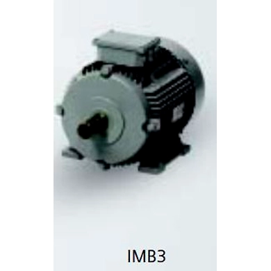 SIEMENS Motors - Champion Series (Frame size - 63-132M)-4