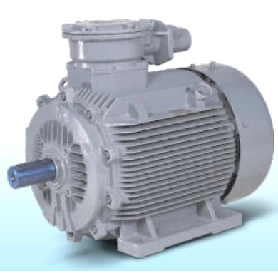Flameproof Motors-FPMR