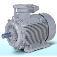 Flameproof Motors