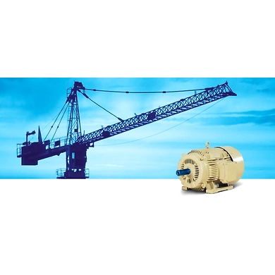 Crane Duty / Hoist Duty Motors-CDHDM