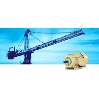 Crane Duty / Hoist Duty Motors
