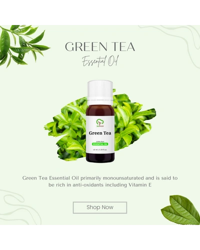 Green Tea Essential Oil-10 ml-2