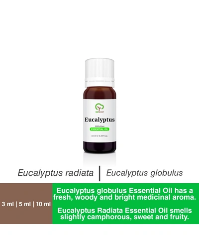 Eucalyptus Essential Oil-5 ml-Eucalyptus globulus-1