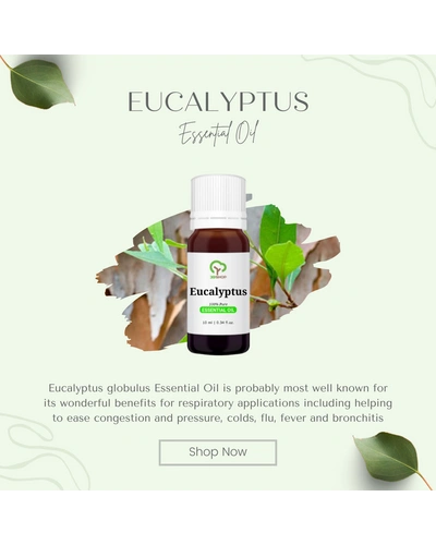 Eucalyptus Essential Oil-3 ml-Eucalyptus globulus-2