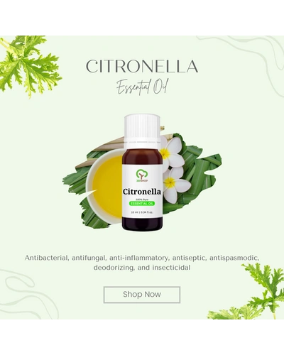 Citronella Essential Oil-3 ml-2