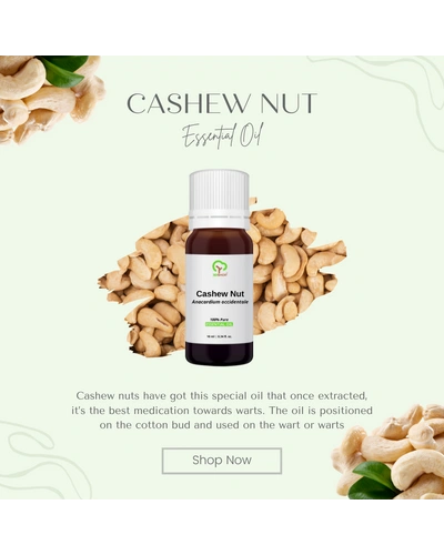 Cashew Nut Essential Oil-50 ml-Pure-1