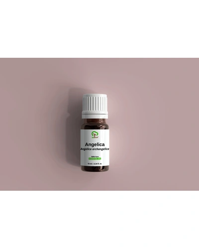 Angelica Essential Oil-10 ml-1