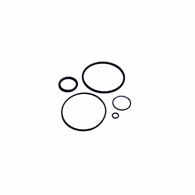 O' RINGS-2