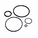 O' RINGS-2-sm