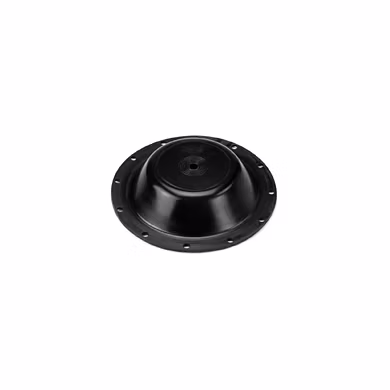 DIAPHRAGMS-BOS004