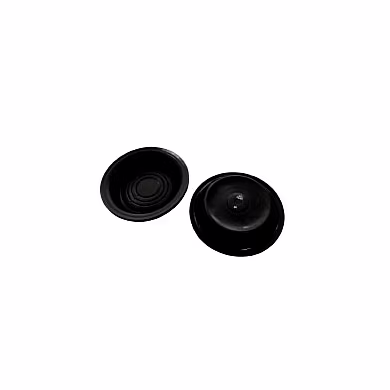 DIAPHRAGMS-1