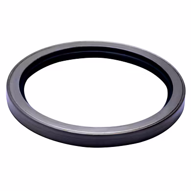 OIL SEALS-1