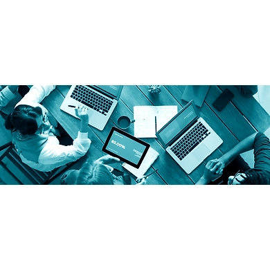 Consulting Services-PCT001