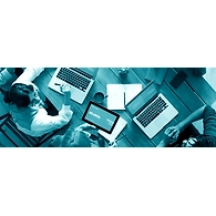 Consulting Services