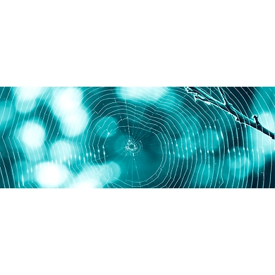 Support Services-PCT004