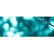 Support Services-PCT004-sm