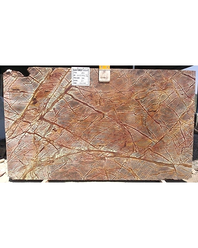 Best Quality Rain Forest Brown Indian Marble Polished Slabs Kitchen Bathroom Countertops Decorative Flooring Wall Cladding-12465460