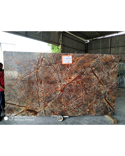 Best Quality Rain Forest Brown Indian Marble Polished Slabs Kitchen Bathroom Countertops Decorative Flooring Wall Cladding-1