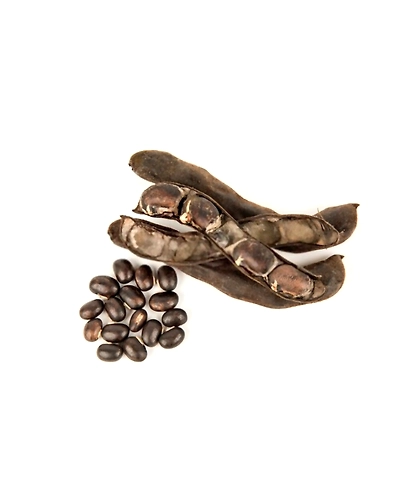 Velvet Bean-konchbeej1
