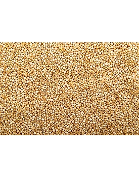 Quinoa