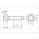 Flange Bolt-1-sm