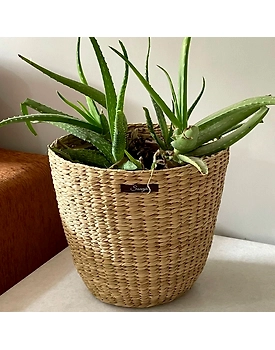 Natural Fiber Planter Pot Sleeve Cone