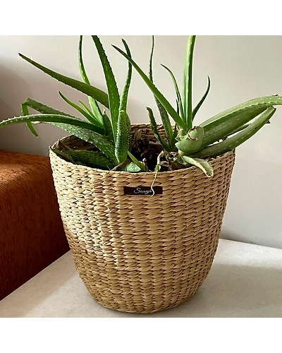 Natural Fiber Planter Pot Sleeve Cone-12249740