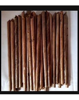 Organic Biodegradable Coconut Straws for Cocktails (Pack of 200)