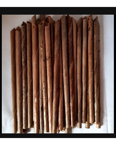 Organic Biodegradable Coconut Straws for Cocktails (Pack of 200)-12249764