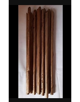 Organic Biodegradable Coconut Straws for Thick Shakes (Pack of 200)