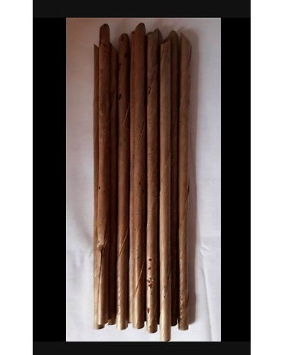 Organic Biodegradable Coconut Straws for Thick Shakes (Pack of 200)-12249766