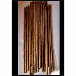 organic biodegradable coconut straws regular (pack of 200)