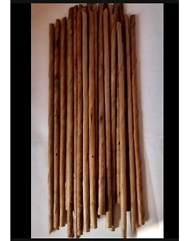 Organic Biodegradable Coconut Straws Regular (Pack of 200)