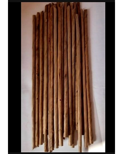 Organic Biodegradable Coconut Straws Regular (Pack of 200)-12249768
