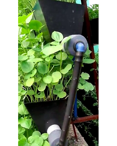 Community Hydroponic Farming and Fodder farming for Cattles.-3
