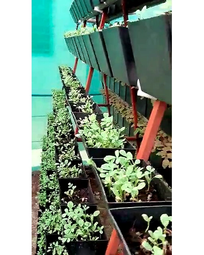Community Hydroponic Farming and Fodder farming for Cattles.-10434038