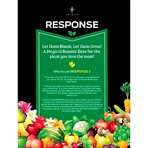 Response